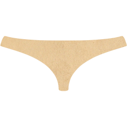 womens underwear icon
