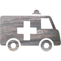 ambulance icon