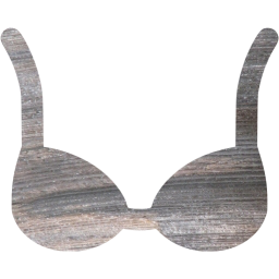 bra icon