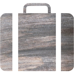 briefcase icon