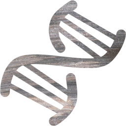 dna helix icon