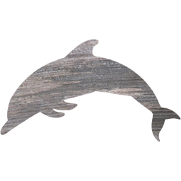 dolphin icon