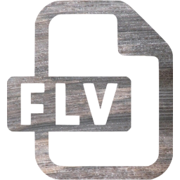 flv icon