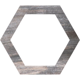 hexagon outline icon