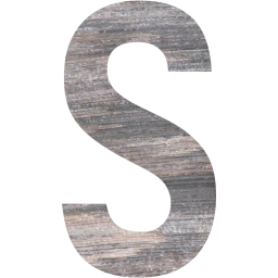 letter s icon