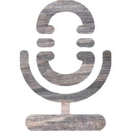 microphone 10 icon