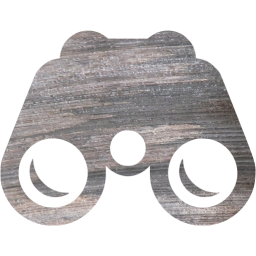 opera glasses icon