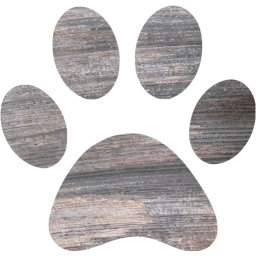 paw icon