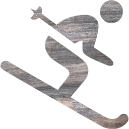 skiing icon