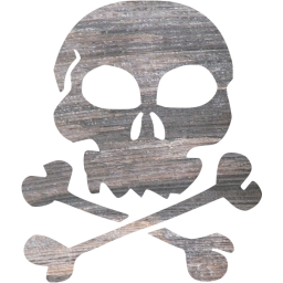 skull 22 icon