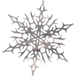 snowflake 14 icon