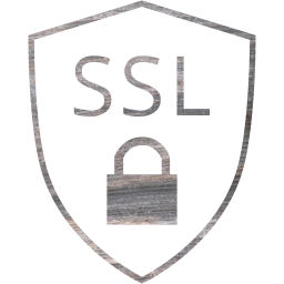 ssl badge icon