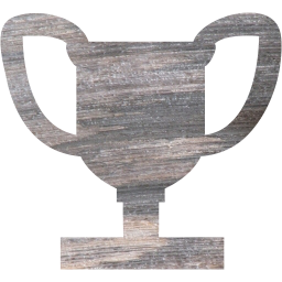 trophy 4 icon