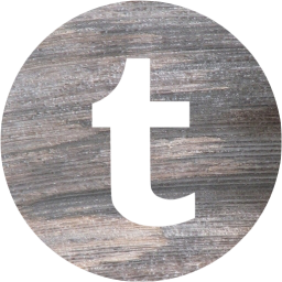 tumblr 4 icon