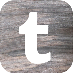 tumblr 6 icon