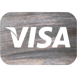 visa icon