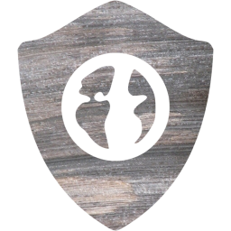 web shield icon