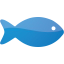 fish 8