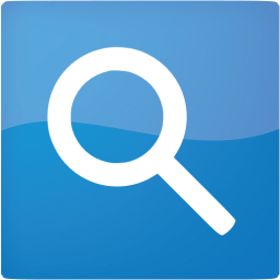 google web search icon