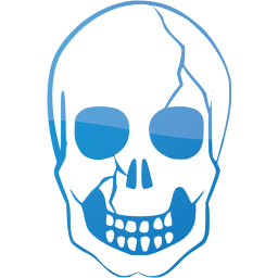 skull 37 icon