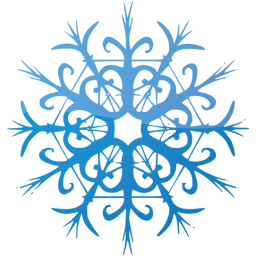 snowflake 28 icon