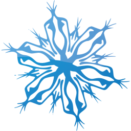 snowflake 4 icon