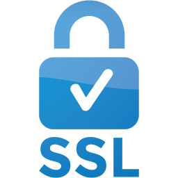 ssl badge 2 icon