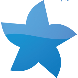 star 21 icon