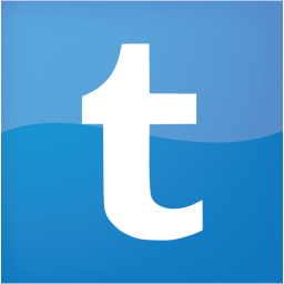 tumblr 2 icon