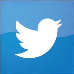 twitter 2 icon