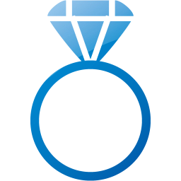 ring 2 icon