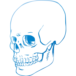 skull 38 icon