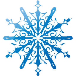 snowflake 10 icon