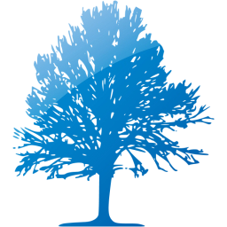 tree 24 icon