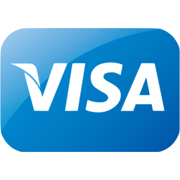 visa icon