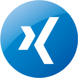 xing 4 icon