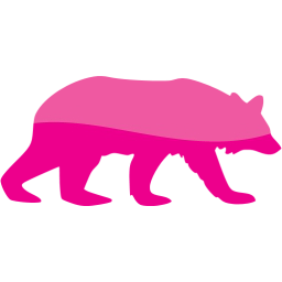 bear 5 icon