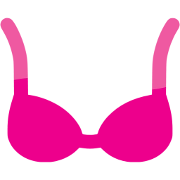 bra icon