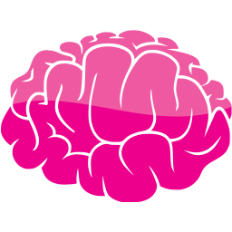 brain 2 icon