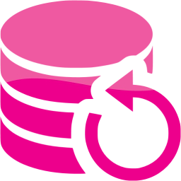 data backup icon