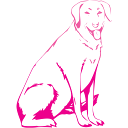 dog 13 icon