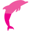 dolphin 2