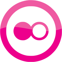 flickr 5 icon