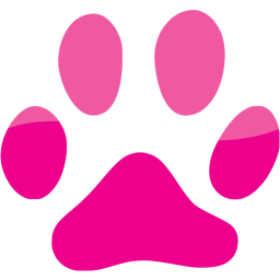 footprints cat icon