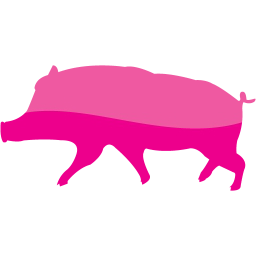 pig 10 icon