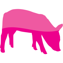 pig 2 icon