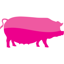 pig 3 icon