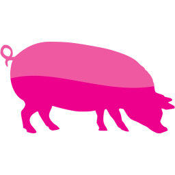 pig 4 icon