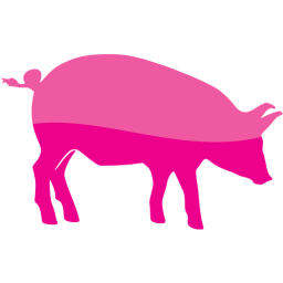 pig 6 icon