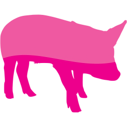 pig 8 icon